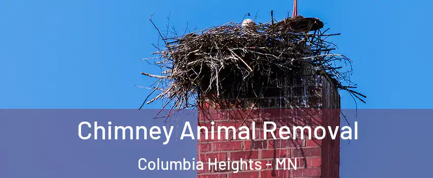  Chimney Animal Removal Columbia Heights - MN