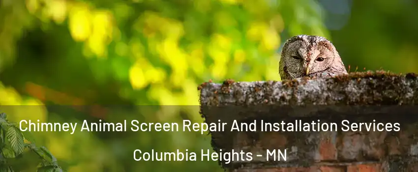  Chimney Animal Screen Repair And Installation Services Columbia Heights - MN