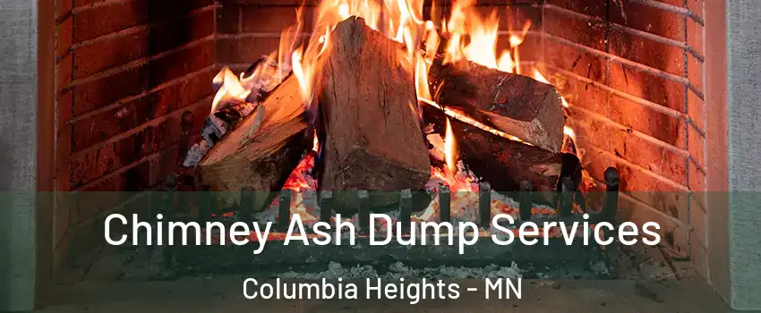  Chimney Ash Dump Services Columbia Heights - MN