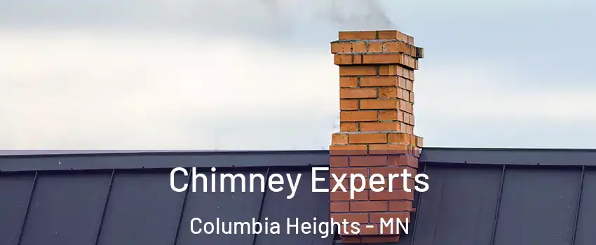  Chimney Experts Columbia Heights - MN