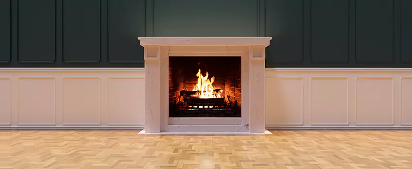Napoleon Electric Fireplaces Inspection Service in Columbia Heights, Minnesota