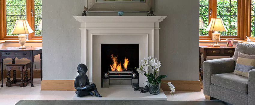 Astria Open-Hearth Wood Fireplaces Services in Columbia Heights, MN