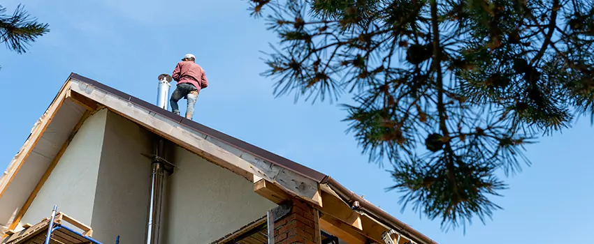 Birds Removal Contractors from Chimney in Columbia Heights, MN