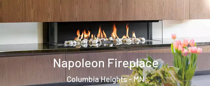  Napoleon Fireplace Columbia Heights - MN