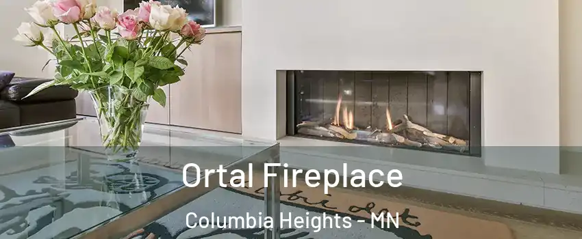  Ortal Fireplace Columbia Heights - MN